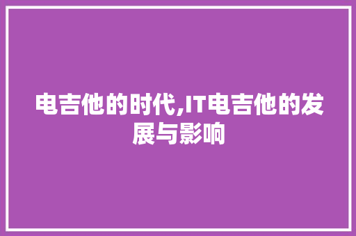 电吉他的时代,IT电吉他的发展与影响