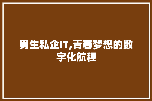 男生私企IT,青春梦想的数字化航程