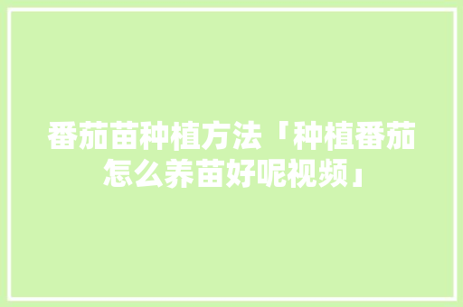 番茄苗种植方法「种植番茄怎么养苗好呢视频」 番茄苗种植方法「种植番茄怎么养苗好呢视频」 番茄病虫害防治