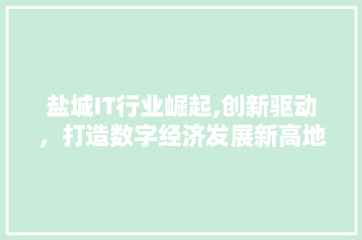 盐城IT行业崛起,创新驱动，打造数字经济发展新高地