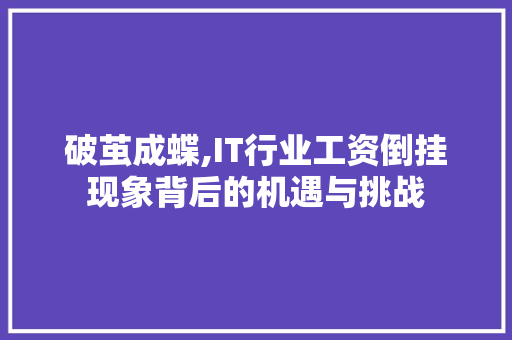 破茧成蝶,IT行业工资倒挂现象背后的机遇与挑战