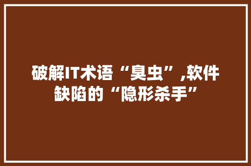 破解IT术语“臭虫”,软件缺陷的“隐形杀手”