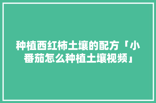 种植西红柿土壤的配方「小番茄怎么种植土壤视频」 种植西红柿土壤的配方「小番茄怎么种植土壤视频」 土壤施肥