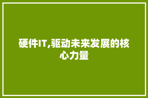 硬件IT,驱动未来发展的核心力量