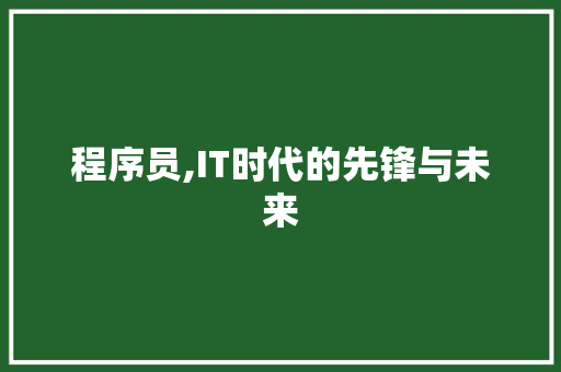 程序员,IT时代的先锋与未来