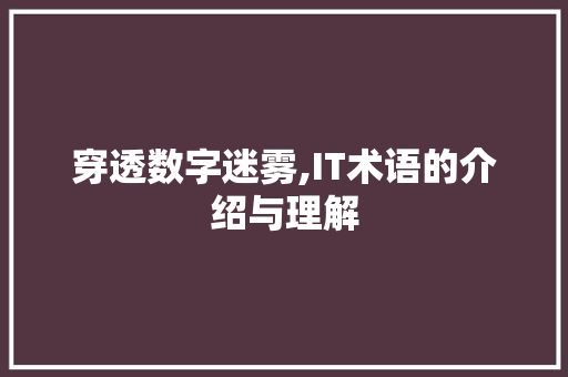穿透数字迷雾,IT术语的介绍与理解
