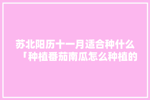 苏北阳历十一月适合种什么「种植番茄南瓜怎么种植的视频」 苏北阳历十一月适合种什么「种植番茄南瓜怎么种植的视频」 植物种类
