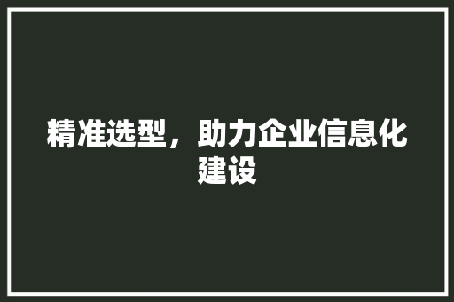 精准选型，助力企业信息化建设
