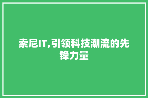 索尼IT,引领科技潮流的先锋力量