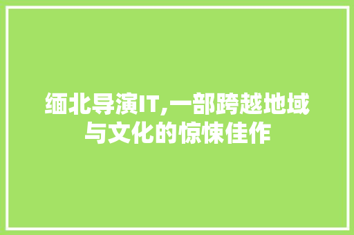 缅北导演IT,一部跨越地域与文化的惊悚佳作