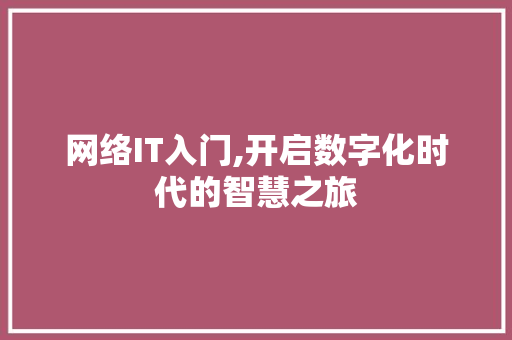 网络IT入门,开启数字化时代的智慧之旅