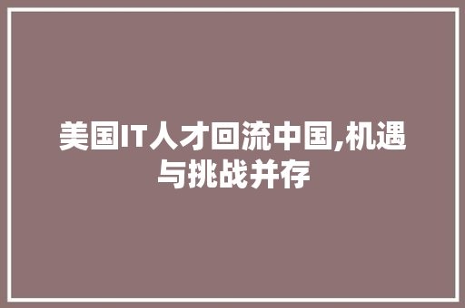 美国IT人才回流中国,机遇与挑战并存