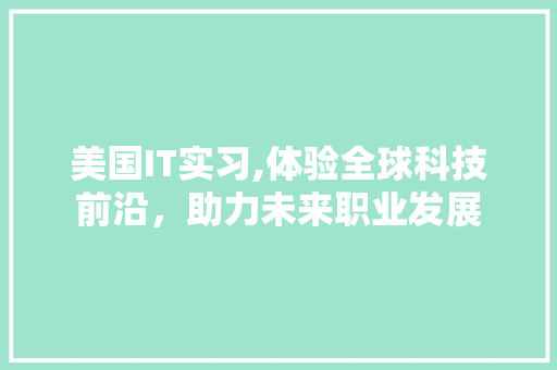 美国IT实习,体验全球科技前沿，助力未来职业发展