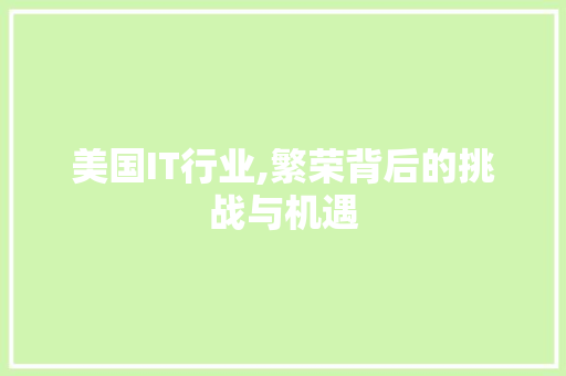 美国IT行业,繁荣背后的挑战与机遇