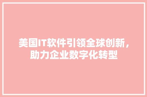 美国IT软件引领全球创新，助力企业数字化转型