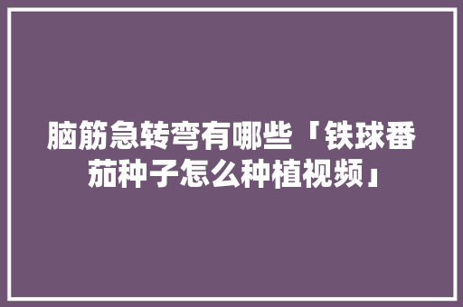 脑筋急转弯有哪些「铁球番茄种子怎么种植视频」
