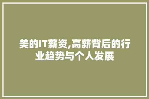 美的IT薪资,高薪背后的行业趋势与个人发展