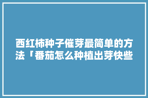 西红柿种子催芽最简单的方法「番茄怎么种植出芽快些呢」