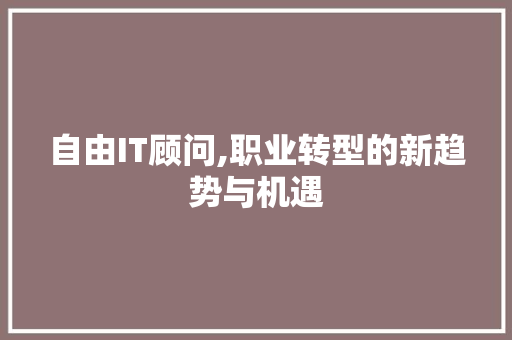 自由IT顾问,职业转型的新趋势与机遇