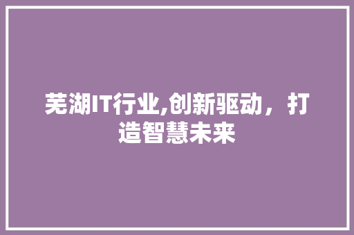 芜湖IT行业,创新驱动，打造智慧未来