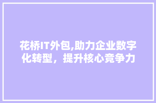 花桥IT外包,助力企业数字化转型，提升核心竞争力