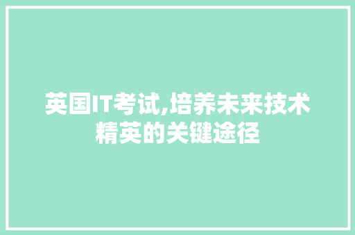 英国IT考试,培养未来技术精英的关键途径