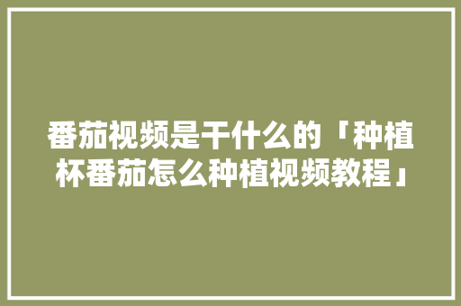 番茄视频是干什么的「种植杯番茄怎么种植视频教程」 番茄视频是干什么的「种植杯番茄怎么种植视频教程」 农业常识