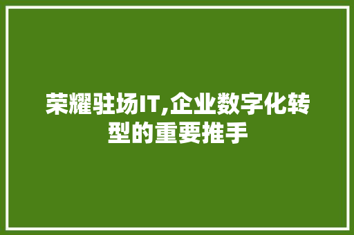 荣耀驻场IT,企业数字化转型的重要推手
