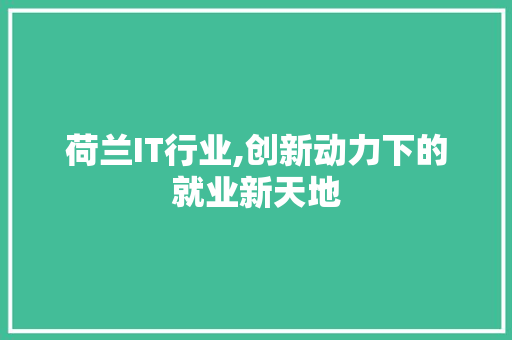 荷兰IT行业,创新动力下的就业新天地 荷兰IT行业,创新动力下的就业新天地