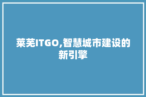 莱芜ITGO,智慧城市建设的新引擎