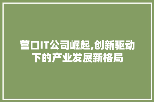 营口IT公司崛起,创新驱动下的产业发展新格局