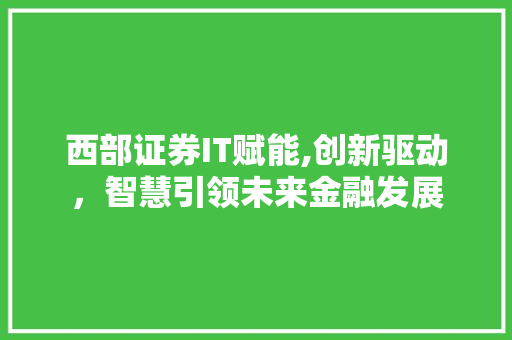 西部证券IT赋能,创新驱动，智慧引领未来金融发展