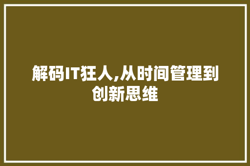 解码IT狂人,从时间管理到创新思维