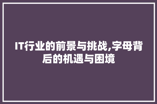 IT行业的前景与挑战,字母背后的机遇与困境 IT行业的前景与挑战,字母背后的机遇与困境