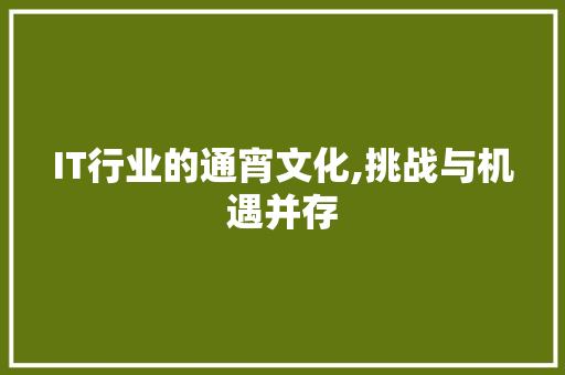 IT行业的通宵文化,挑战与机遇并存 IT行业的通宵文化,挑战与机遇并存