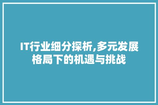 IT行业细分探析,多元发展格局下的机遇与挑战