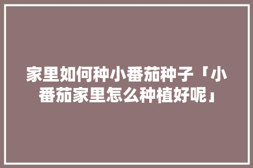 家里如何种小番茄种子「小番茄家里怎么种植好呢」 家里如何种小番茄种子「小番茄家里怎么种植好呢」 植物种类