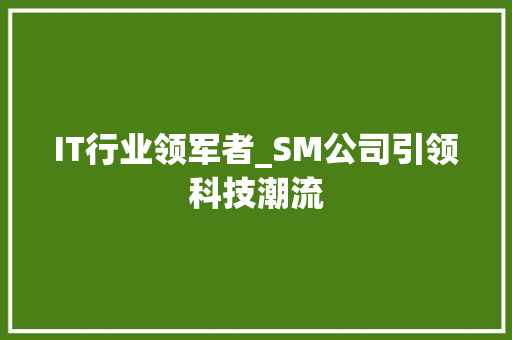 IT行业领军者_SM公司引领科技潮流