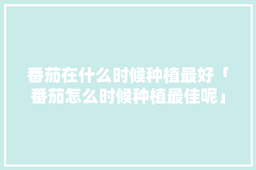 番茄在什么时候种植最好「番茄怎么时候种植最佳呢」 番茄在什么时候种植最好「番茄怎么时候种植最佳呢」 花朵知识