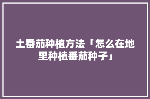 土番茄种植方法「怎么在地里种植番茄种子」 土番茄种植方法「怎么在地里种植番茄种子」 种植技巧
