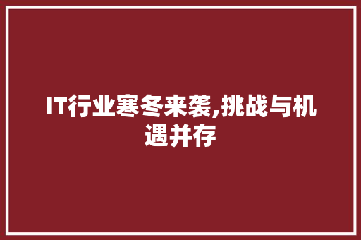 IT行业寒冬来袭,挑战与机遇并存