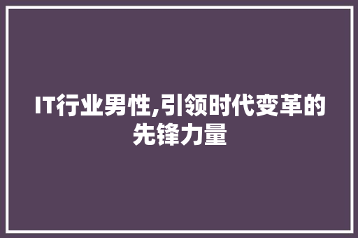 IT行业男性,引领时代变革的先锋力量