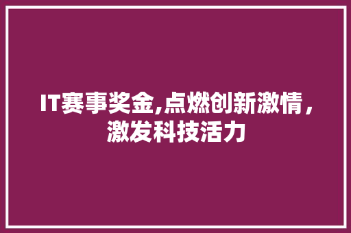IT赛事奖金,点燃创新激情，激发科技活力