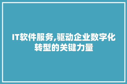 IT软件服务,驱动企业数字化转型的关键力量 IT软件服务,驱动企业数字化转型的关键力量