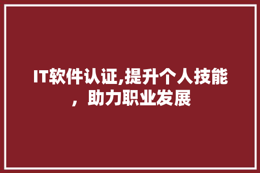 IT软件认证,提升个人技能，助力职业发展