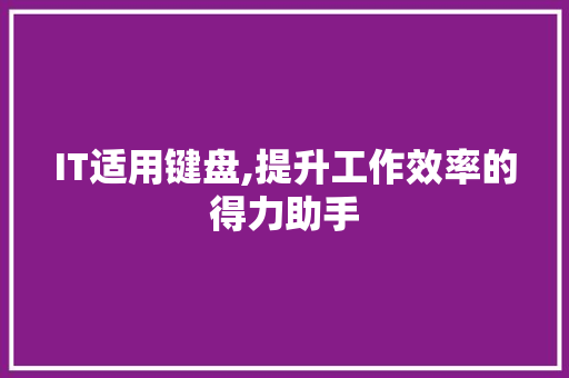 IT适用键盘,提升工作效率的得力助手