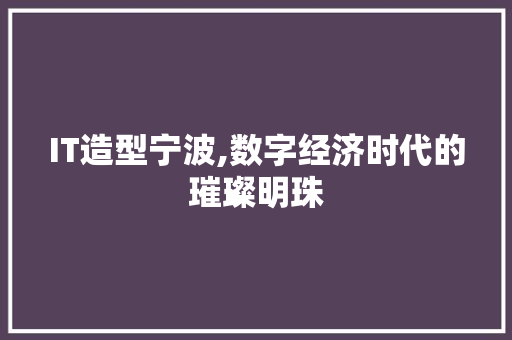 IT造型宁波,数字经济时代的璀璨明珠