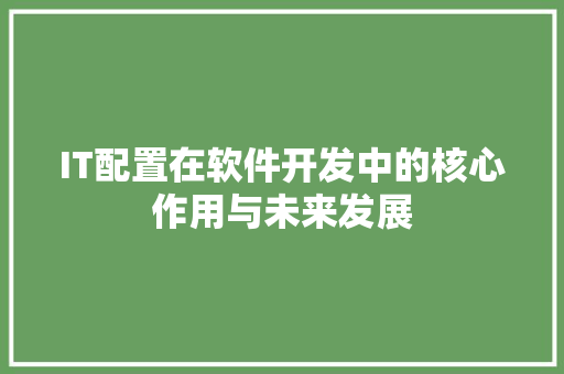 IT配置在软件开发中的核心作用与未来发展