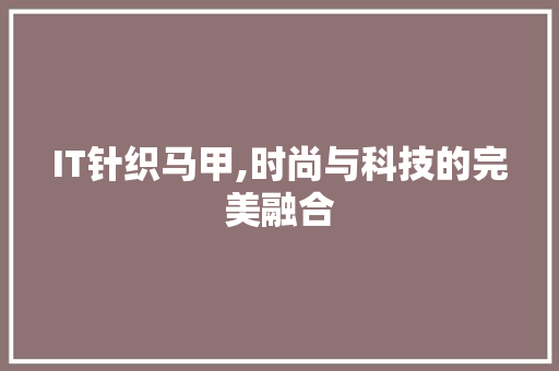 IT针织马甲,时尚与科技的完美融合