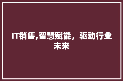 IT销售,智慧赋能，驱动行业未来